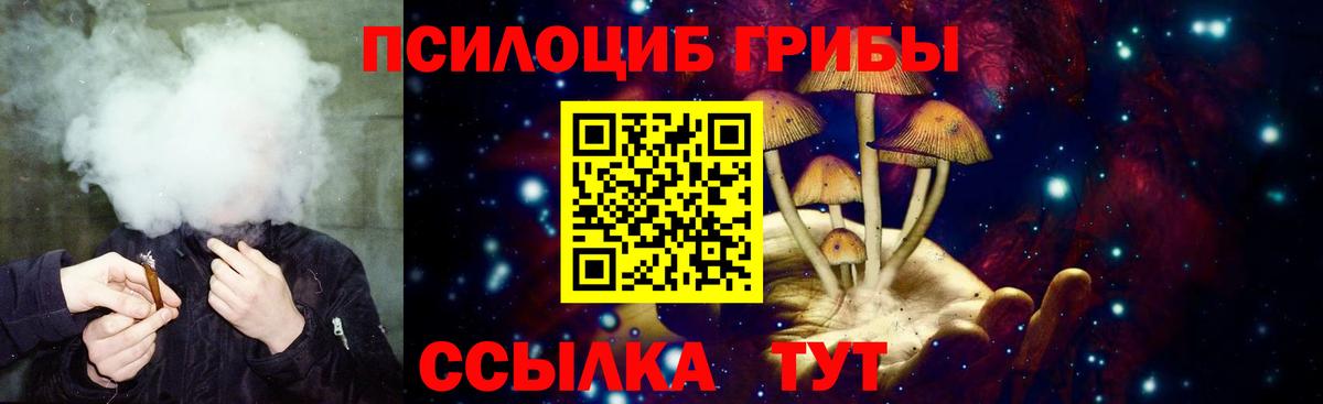 Псилоцибиновые грибы Magic Shrooms  Вход с VPN  Старая Русса 