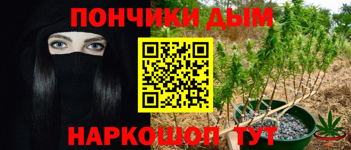 Бошки Шишки AK-47  Марихуана марихуана  Старая Русса  Вход с VPN  МАРИХУАНА AK-47 